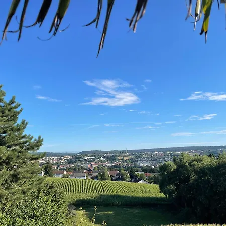 Tiny-House Mit Alpen- Stadt- Und Poolblick , Wlan Passau Exterior foto