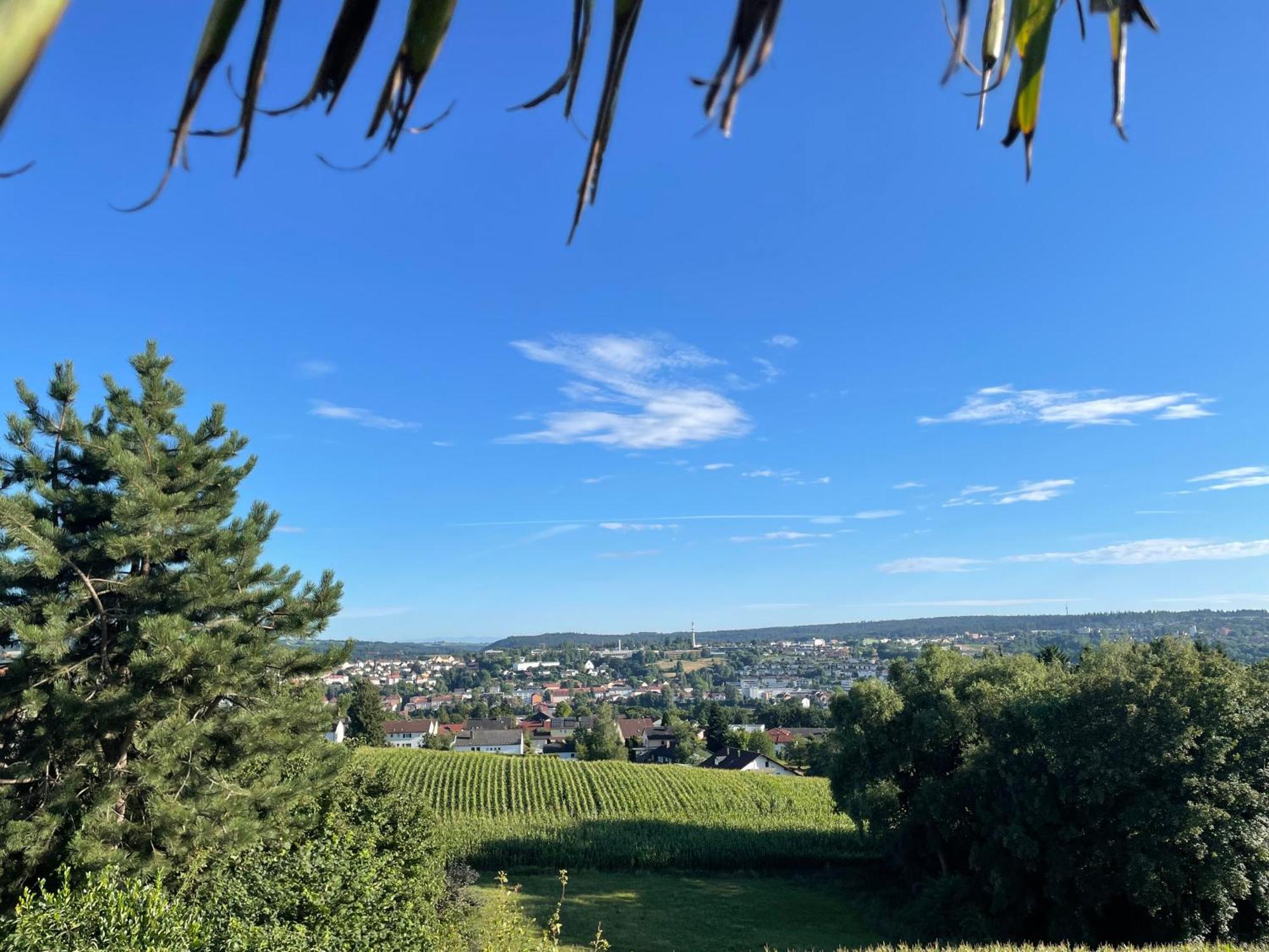 Tiny-house Mit Alpen- Stadt- Und Poolblick , Wlan Ferienhaus Passau